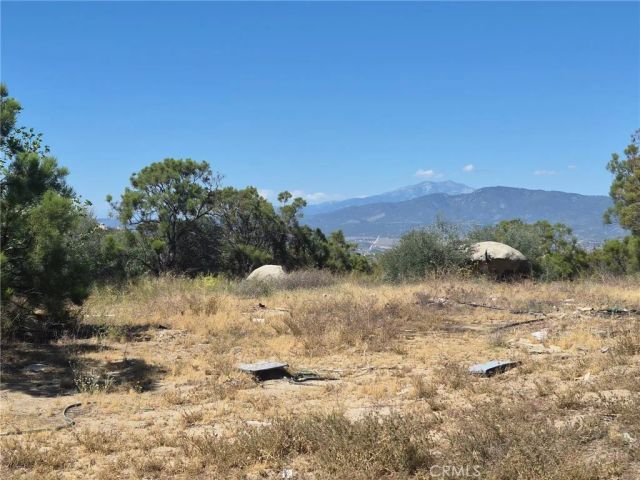55355 Tule Peak, Anza, CA 92536