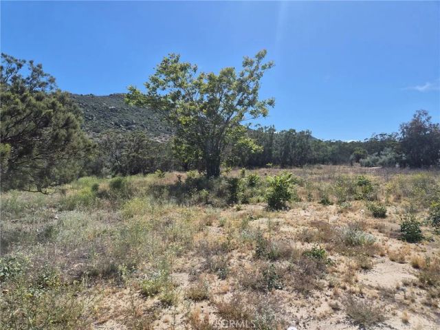 55355 Tule Peak, Anza, CA 92536