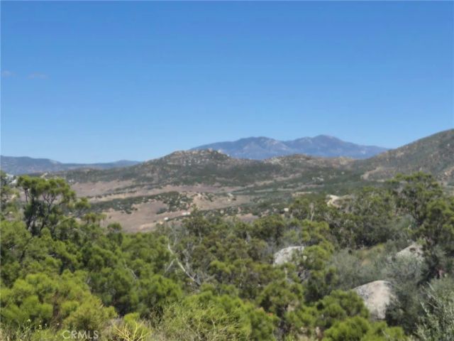 55355 Tule Peak, Anza, CA 92536