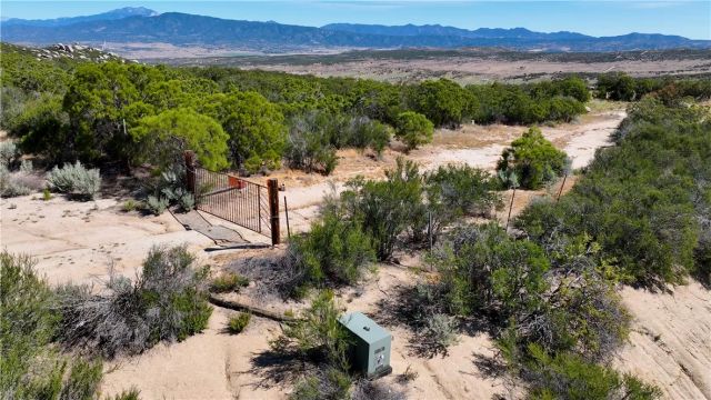 55355 Tule Peak, Anza, CA 92536