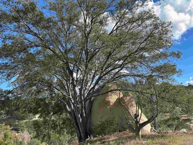 2494 Lane, Fallbrook, CA 92028