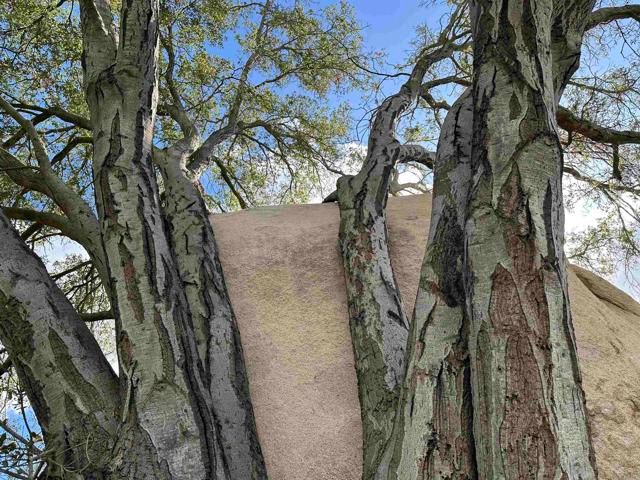 2494 Lane, Fallbrook, CA 92028