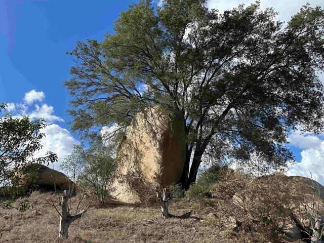 2494 Lane, Fallbrook, CA 92028