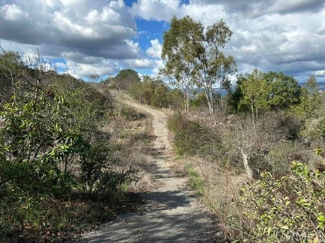 2494 Lane, Fallbrook, CA 92028