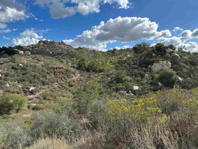 2494 Lane, Fallbrook, CA 92028