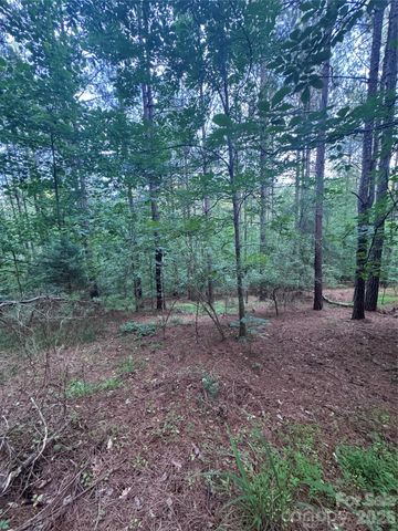0 Clearwater Parkway 203, Rutherfordton, NC 28139