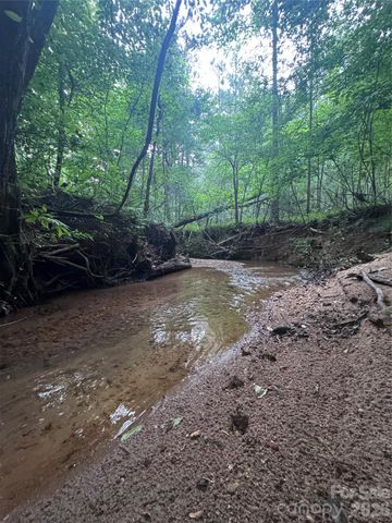 0 Clearwater Parkway 203, Rutherfordton, NC 28139