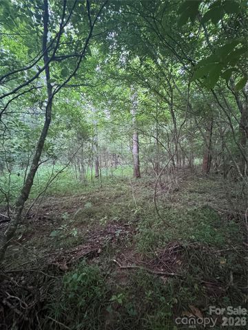 0 Clearwater Parkway 203, Rutherfordton, NC 28139