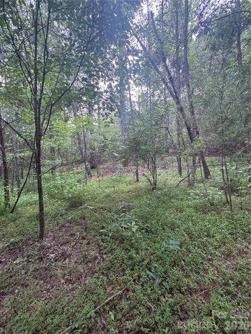 0 Clearwater Parkway 203, Rutherfordton, NC 28139
