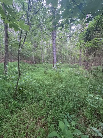 0 Clearwater Parkway 203, Rutherfordton, NC 28139