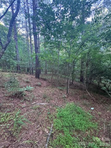 0 Clearwater Parkway 203, Rutherfordton, NC 28139