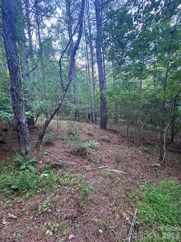 0 Clearwater Parkway 203, Rutherfordton, NC 28139