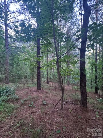 0 Clearwater Parkway 203, Rutherfordton, NC 28139