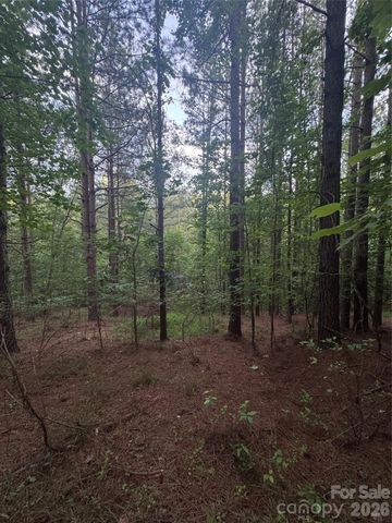 0 Clearwater Parkway 203, Rutherfordton, NC 28139