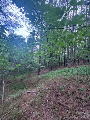 0 Clearwater Parkway 203, Rutherfordton, NC 28139