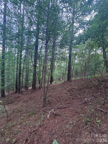 0 Clearwater Parkway 203, Rutherfordton, NC 28139