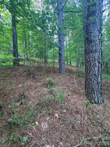 0 Clearwater Parkway 203, Rutherfordton, NC 28139
