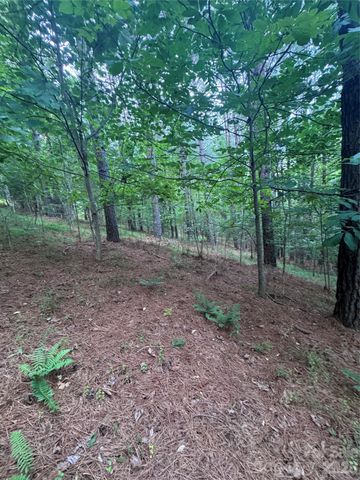 0 Clearwater Parkway 203, Rutherfordton, NC 28139