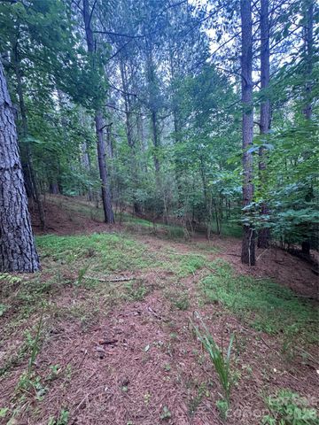 0 Clearwater Parkway 203, Rutherfordton, NC 28139