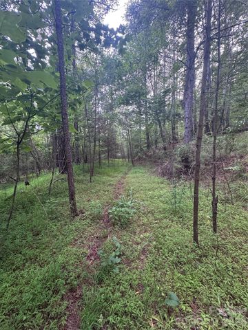 0 Clearwater Parkway 203, Rutherfordton, NC 28139