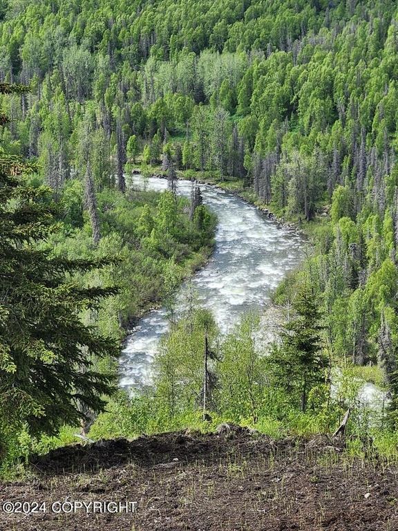 12565 Snowberry Road, Willow, AK 99688