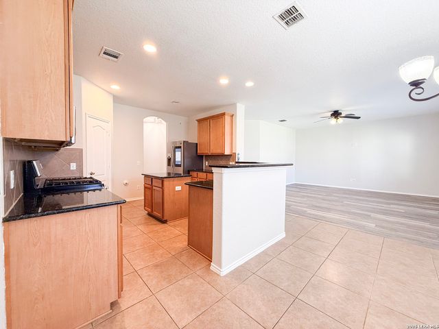 1938 Spotted Owl, New Braunfels, TX 78130