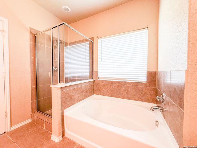 1938 Spotted Owl, New Braunfels, TX 78130