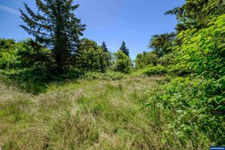 Parcel 0259404 Long St, Sweet Home, OR 97386