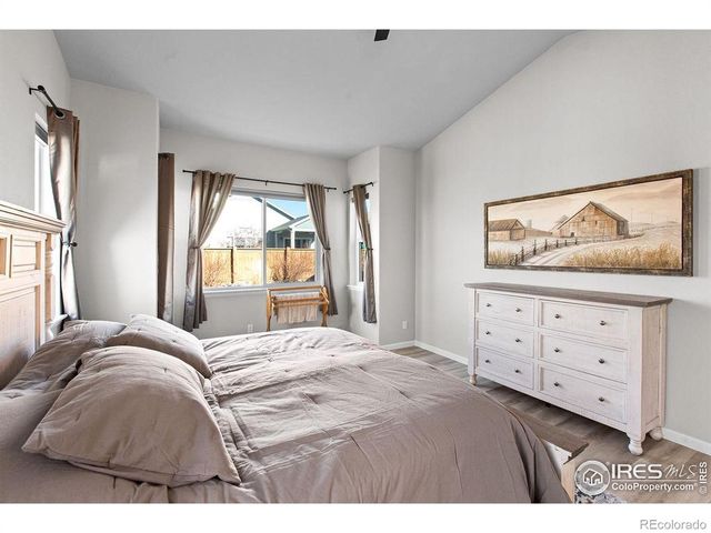 366 Bluestar Drive, Windsor, CO 80550