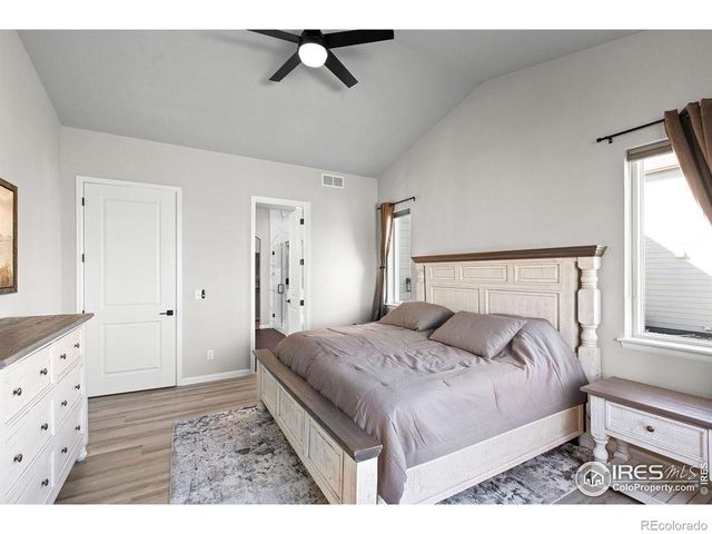 366 Bluestar Drive, Windsor, CO 80550