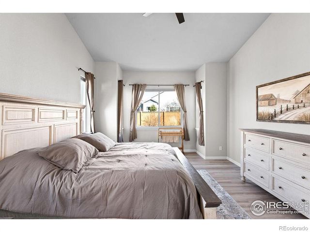 366 Bluestar Drive, Windsor, CO 80550