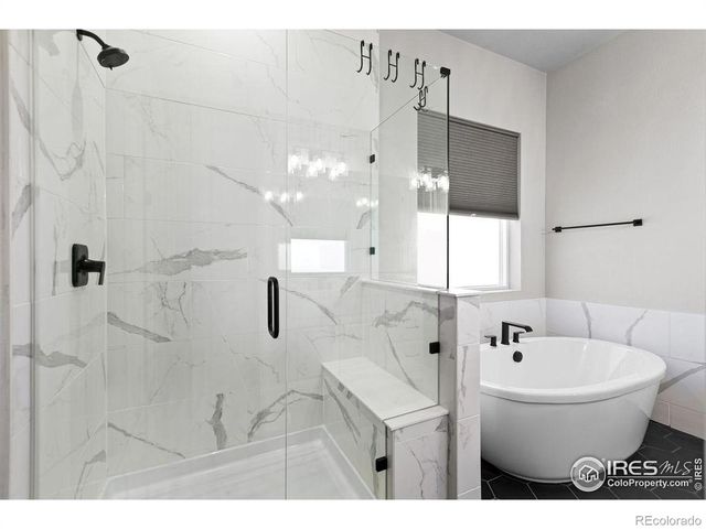 366 Bluestar Drive, Windsor, CO 80550