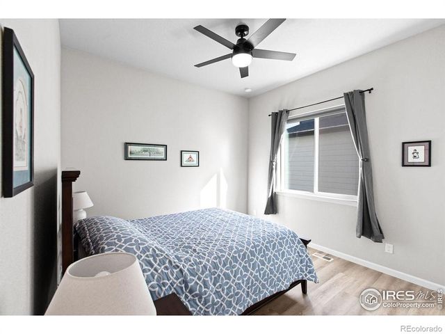 366 Bluestar Drive, Windsor, CO 80550