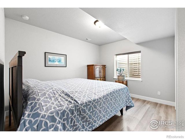 366 Bluestar Drive, Windsor, CO 80550