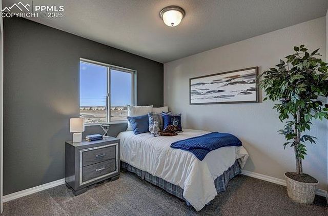 2167 Backpack Point, Colorado Springs, CO 80910