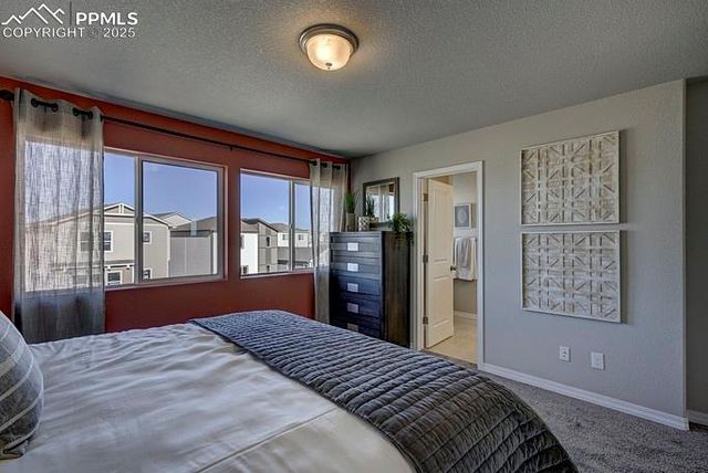 2167 Backpack Point, Colorado Springs, CO 80910