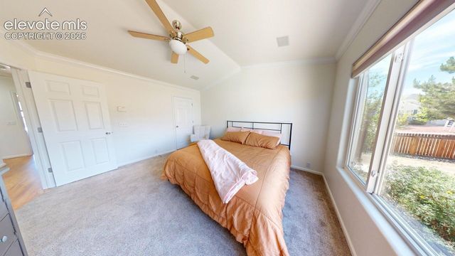 6950 Flowering Almond Drive, Colorado Springs, CO 80923