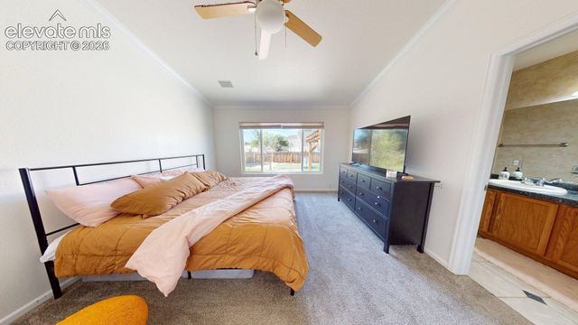 6950 Flowering Almond Drive, Colorado Springs, CO 80923