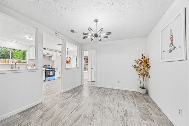 13118 Birch Grove Drive, Houston, TX 77099