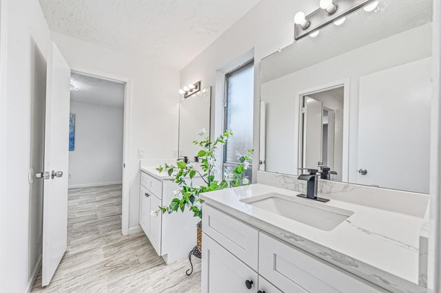 13118 Birch Grove Drive, Houston, TX 77099