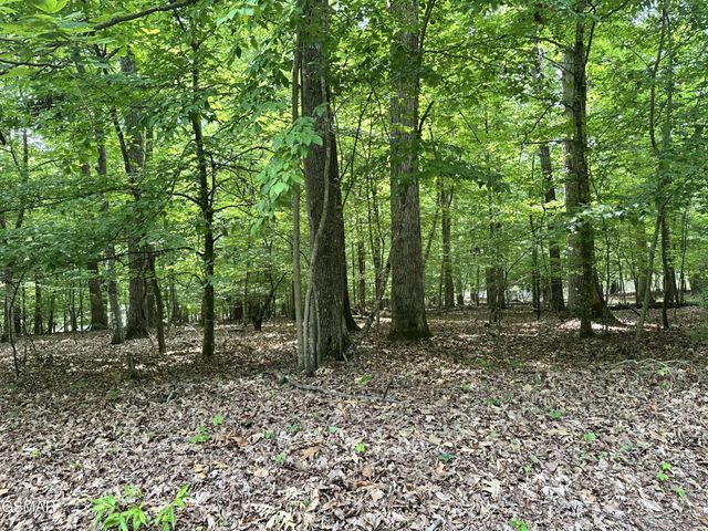 8 Woods Ridge Road, Dandridge, TN 37725