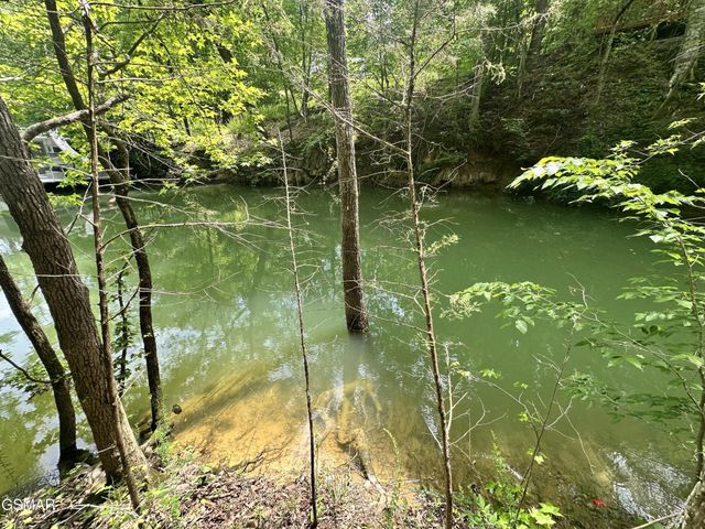 8 Woods Ridge Road, Dandridge, TN 37725