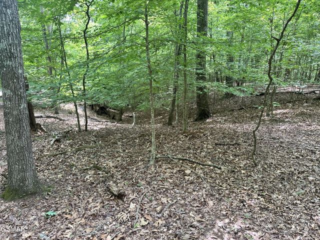 8 Woods Ridge Road, Dandridge, TN 37725