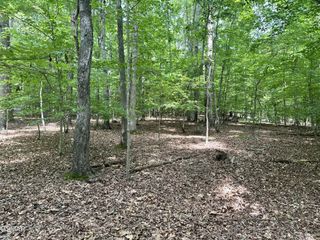 8 Woods Ridge Road, Dandridge, TN 37725