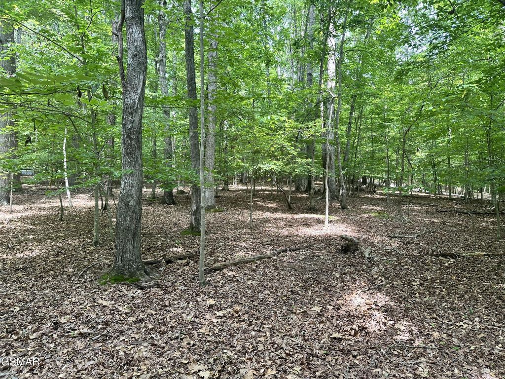 8 Woods Ridge Road, Dandridge, TN 37725