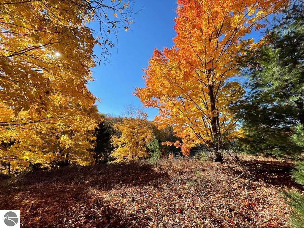 Image 22 of property listing at Unit 20 NW Dockery Road, Nw, Williamsburg, MI 49690