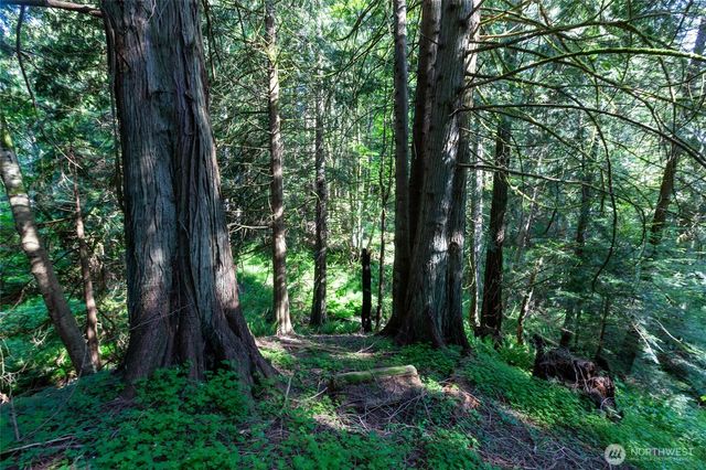 60 Miller Road, Friday Harbor, WA 98250