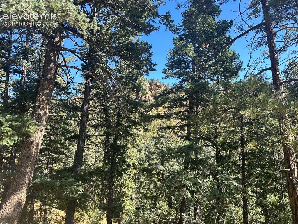 270 Upper Sun Valley Road, Manitou Springs, CO 80829 — photo 4