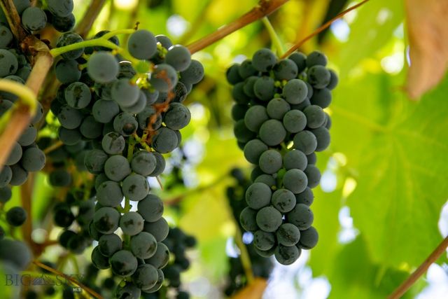 726 US Highway 10 West W, Livingston, MT 59047