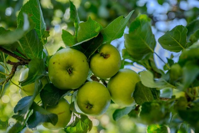 726 US Highway 10 West W, Livingston, MT 59047